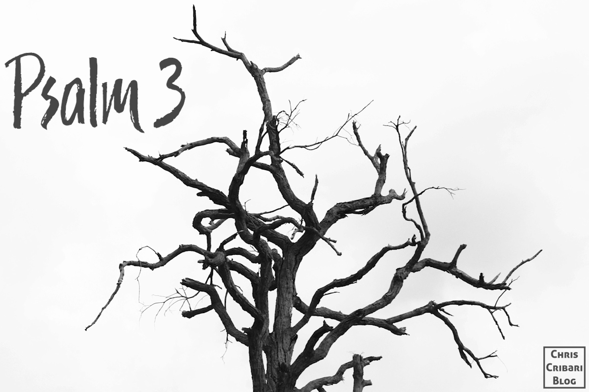 Psalm 3